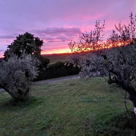 L'Orto Sul Poggio Bed & Breakfast Sutri Exterior photo