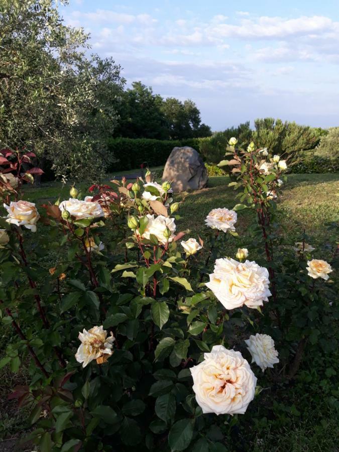 L'Orto Sul Poggio Bed & Breakfast Sutri Exterior photo